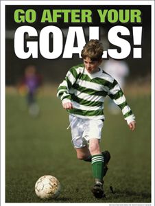 Go After Your Goals (Laminated)