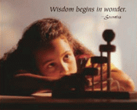 Wisdom in Wonder
